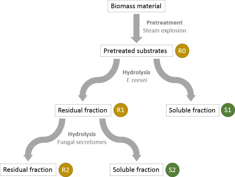 Méthodologie d'hydrolyse