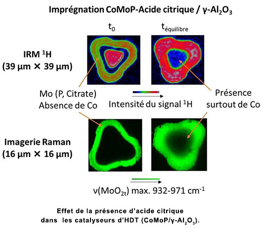 Effet de la présence d’acide citrique dans les catalyseurs d’HDT (CoMoP/γ-Al2O3).