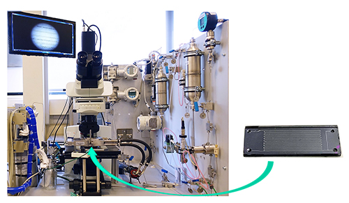 Figure 1 - Dispositif expérimental (gauche) et puce microfluidique (droite) 