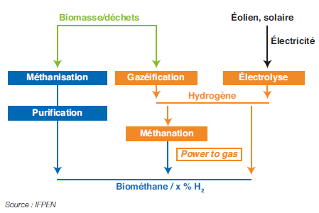 Fig. 11 – Voies de production du biométhane