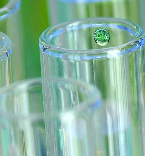 Production de bio-aromatiques : étape clé du programme d’essais du procédé Bio-TCat™