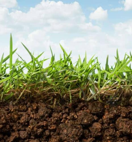 Image of soil in cross-section with a view of the earth and a view of the grass.