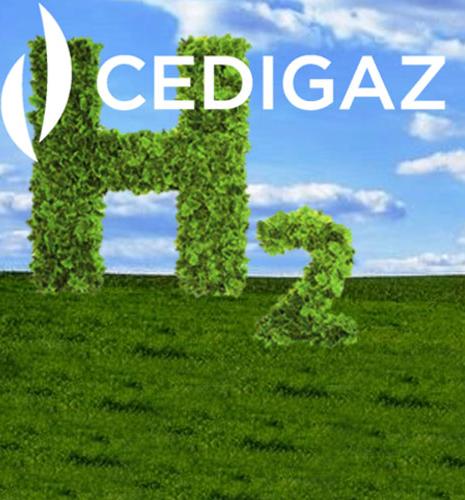 Webinaire Cedigaz : déploiement de l'hydrogène propre à grande échelle, le cas de l'Australie