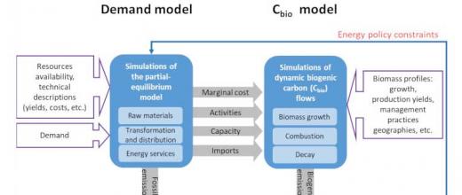 Dynamic modeling carbon neutrality