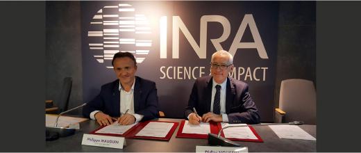 Bioeconomics, biotechnologies, soils:  three priorities central to the collaboration between Inra and IFPEN