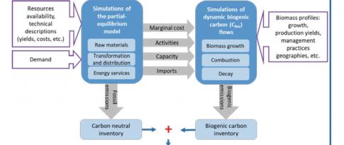 Dynamic flows for better low-carbon strategies